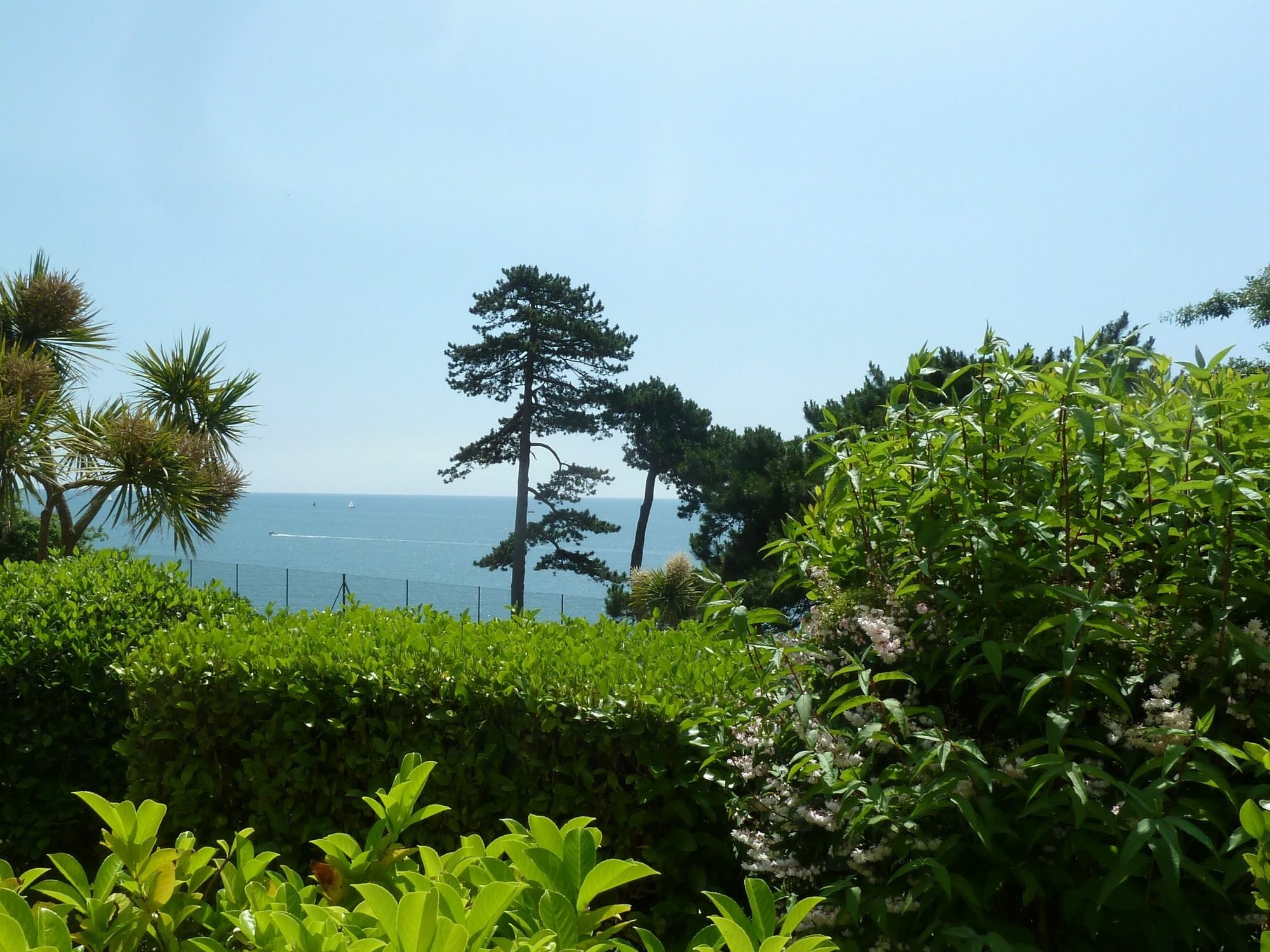 Tramontane Apartment At Hesketh Crescent Torquay Eksteriør bilde